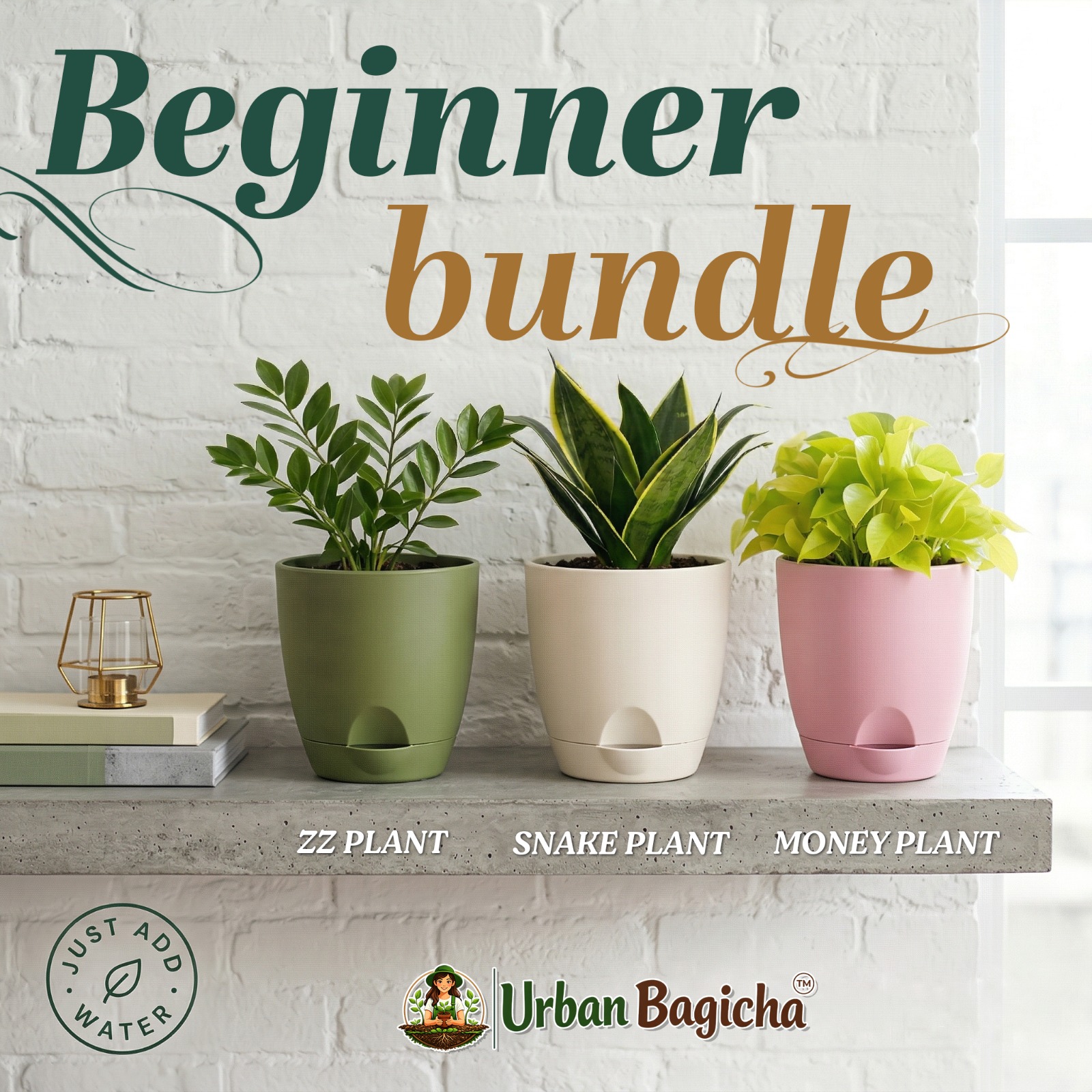 Beginner Bundle