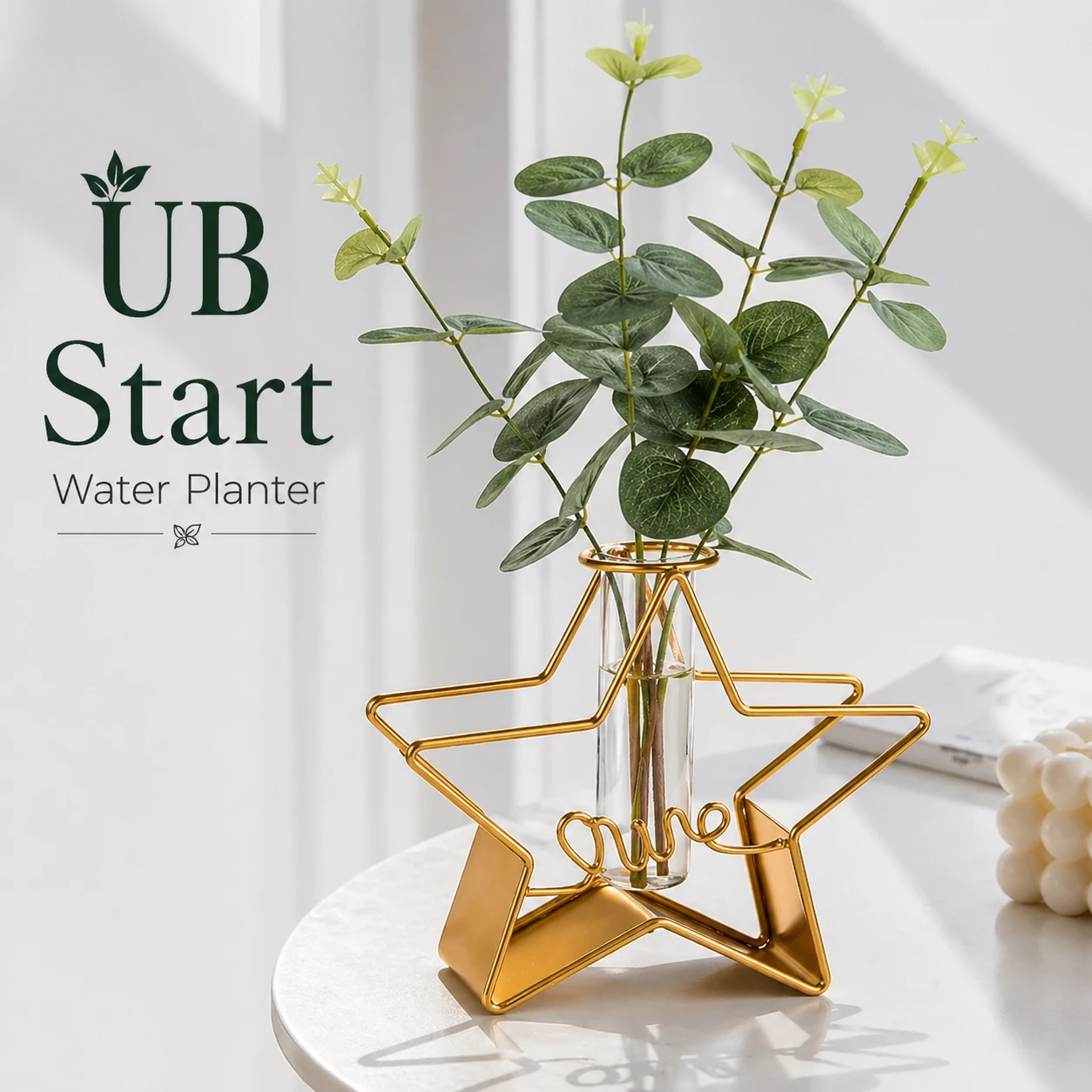 UB Star Water Planter