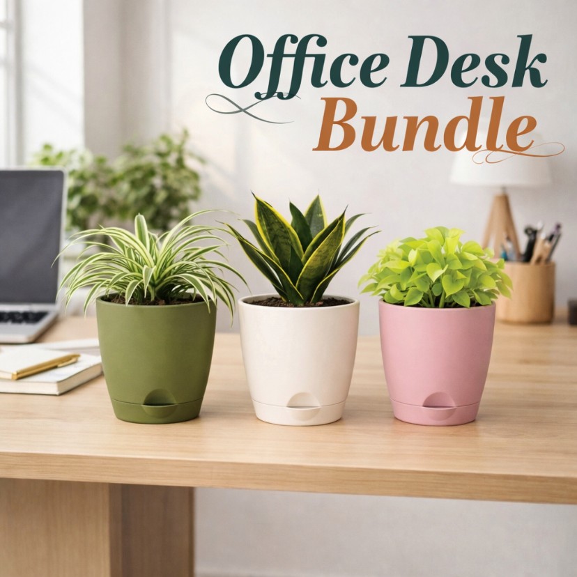 Office Desk Bundle