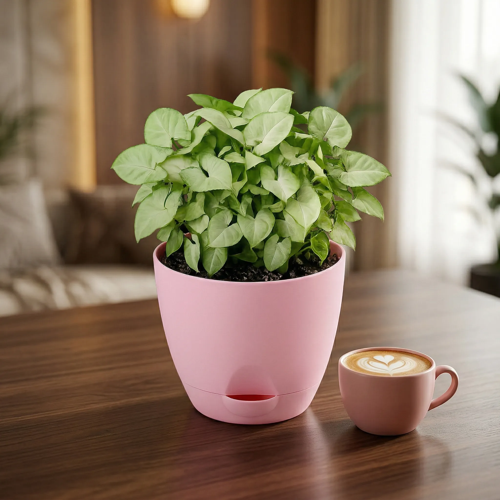 Syngonium Pixie Plant